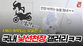 국내 낯선천장 갤러리ㅋㅋ 바이크 갤러리는 누구인가 Ι 바갤 바이크갤러리 디씨 밈