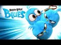 Angry Birds Blues   All Episodes Mashup   Special Compilation  2019 by For KIDS TV full HD  06