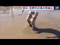 栃木･佐野市の浸水現場は