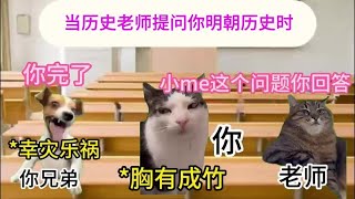 #猫meme小剧场 #看一遍笑一遍 #意想不到的结局 #大明不妙曲