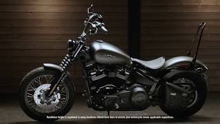 One-Piece Tall Rigid Mount Sissy Bar | Union City, TN | Abernathys Harley-Davidson®