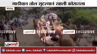 Kolhapur Breaking : घोडागाडी शर्यतीच्या स्पर्धेत गाडी चालकाच्या अंगावर गाड्या व घोडे गेले