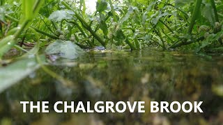 THE CHALGROVE BROOK EXTENDED VERSION FINAL