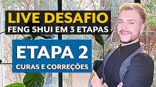 MINI CURSO FENG SHUI AO VIVO- ETAPA 2 - CURAS E CORREÇÕES / LUIZ NETTO