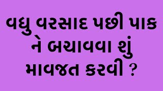 આજની કૃષિ માહિતી-વધુ વરસાદ પછી પાક ને બચાવવા શું માવજત કરવી? #varsad #વરસાદ #ખેતી kheti #biyaran