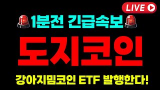 [도지코인 전망]💥긴급💥🔴밈코인 최초 ETF 승인🔴\