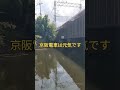 2023.8.16宇治川は状態悪く断念！前の川でナマズ狙い！ fishing ルアーフィッシング