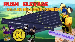 Rush Elevage #4 : Des MILLIONS De Kamas Pour Noel 🤑