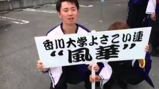 香川大学よさこい連”風華” 2015銭形よさこい