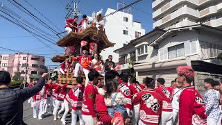 令和5年(2023年)3月19日(日) 甲田 だんじり 化粧幕新調お披露目曳行