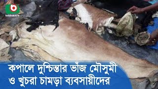 কপালে দুশ্চিন্তার ভাঁজ মৌসুমী ও খুচরা চামড়া ব্যবসায়ীদের | Raw Leather Collection | BD News