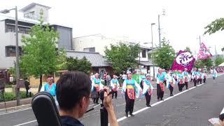 備後久松屋　銭形よさこい2019柳町②会場