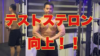 テストステロンを上げる為に行なっている事を解説！！