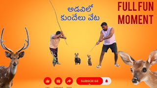 కుందేలు హటింగ్ వెట… ! Rabbit Trap ! Hutting The Wild!