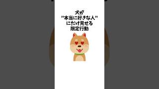 犬が「本当に好きな人」にだけ見せる限定行動　 #犬 #ペット #雑学