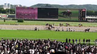 2010ヴィクトリアマイル 返し馬