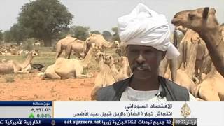 موسم تجارة الضأن والإبل بالسودان