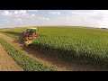 swathing feed