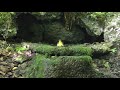 山中湖 大洞の泉のキビタキ（雄）とオオルリ（雄）の水浴び　その４（4k動画）