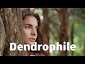 Dendrophile Meaning - a person who loves trees