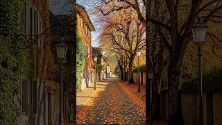 Every falling leaf tells a story of change.