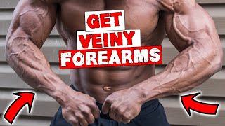 FOREARM WORKOUT FOR VEINS | DUMBBELLS OR BARBELL