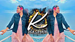 UCA CEVATA - BIGWILZ X SASSY (2K23 JIVE REMIX)