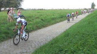 European Road Cycling Championships Flanders-Limburg-Hasselt 2024//Tim Merlier//CYCLING ft ROADSIDE