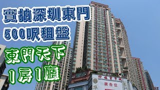 [神州穿梭.深圳]#124 實拍深圳東門500呎租盤|東門天下|1房1廳|月租4500元|行去東門太陽廣場不用10分鐘|哂布站上面