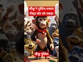 चीकू ने चोर गीदड़ को कैसे पकड़ा hindikahaniya cartoon facts vsguru reels moralstories