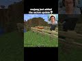 minecraft pig moment