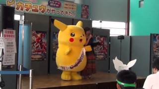 ピカチュウ2013