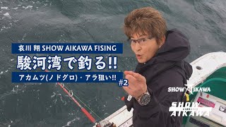 【駿河湾で釣る②】アカムツ（ノドグロ)・アラ【釣り#2】