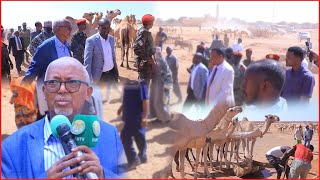 Madaxweyne Saylici Muxuu Ku Soo Arkay Abaaraha Bariga Somaliland