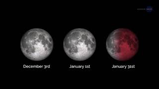 Coming Soon: Three Supermoons and an Eclipse | Video