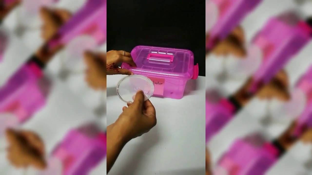 Microbe Technique Youtube