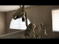 home depot 6ft skeleton horse