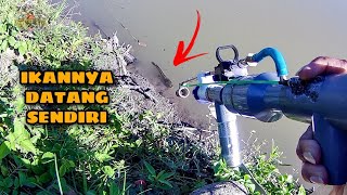 Fish Come Alone | Shoot Fish With Paralone