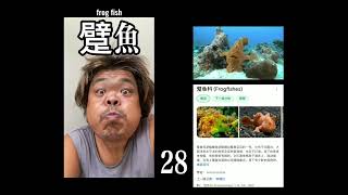 水肺潜水60个海洋生物手势普吉岛喜帆潜水任磊更新