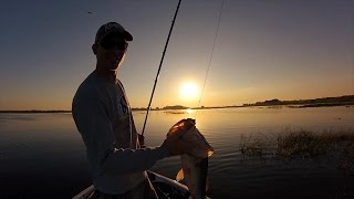 GoPro: Jared Dial - Best Catch 5.27.15 - Fish