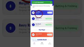 Flex/DP Softball Basic Rules