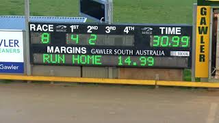 Gawler-17072020-Race-8