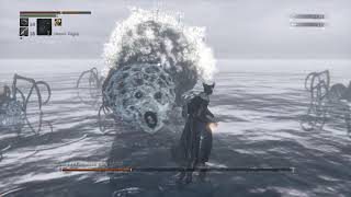 Bloodborne™ Akılsız Örümcek RON (Rom The Vacuous Spider)