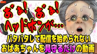 【始まらぬおはばば】バタバタしてるVBを見守るだけの動画【バーチャルおばあちゃん/VB/切り抜き】