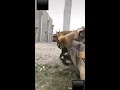 3 captured armenian t 72 tanks in hadrut.the video dates back to december 5.