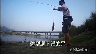 釣魚分享EP29 | 南投清水溪 | 路亞 | 中了一條蛇頭魚!(SHORE LURE TAIWAN)