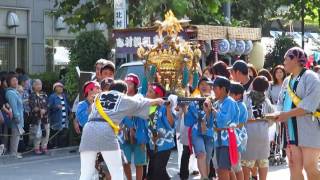 板橋区民まつり 2016 子供神輿パレード Itabashi Ward Community Festival   Portable shrine \