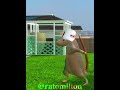 . . ratomilton music rat dance lyrics