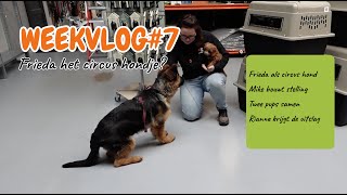 Weekvlog 7 - Frieda het circus hondje? - Mike bouwt KONG-stelling - Eindelijk de uitslag voor Rianne