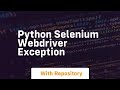 python selenium webdriver exception